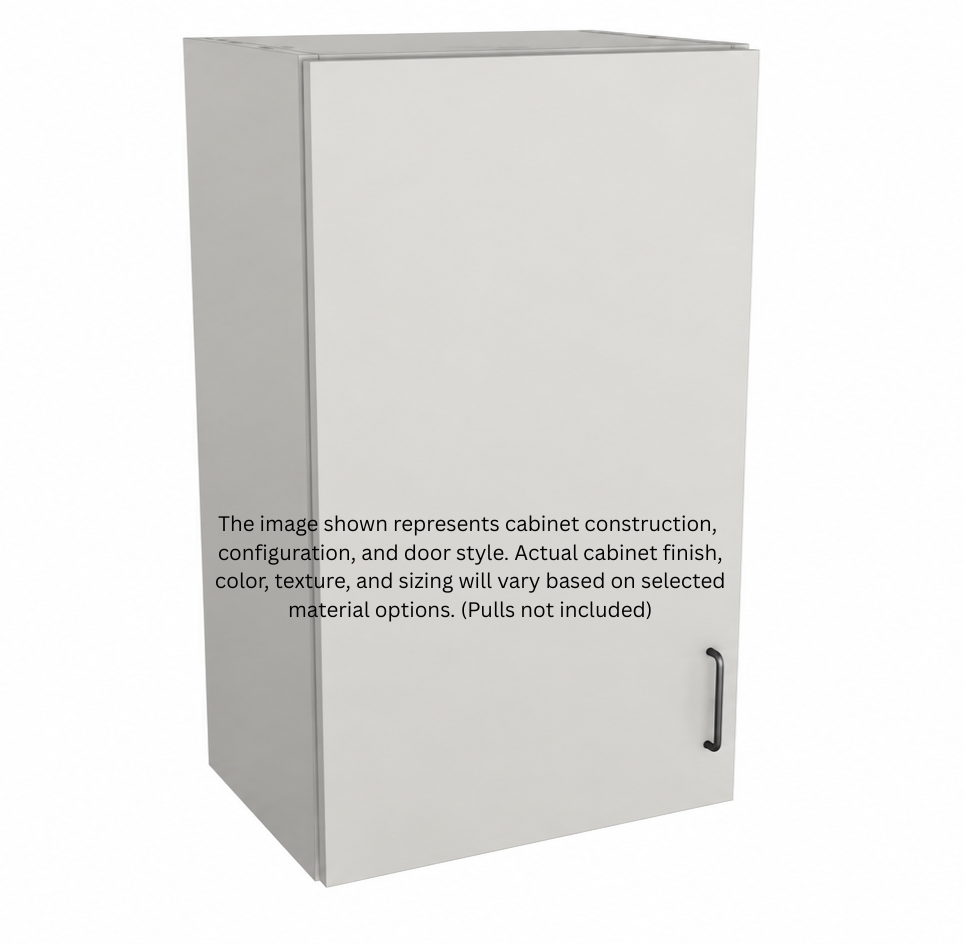 Stock Line 1-Door Wall Cabinet 30" Tall