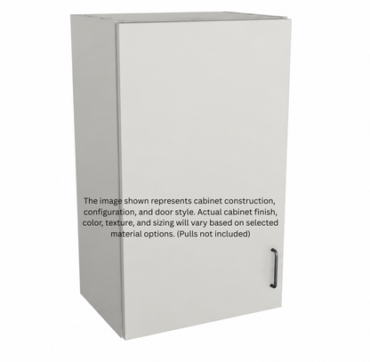 Stock Line 1-Door Wall Cabinet 30" Tall